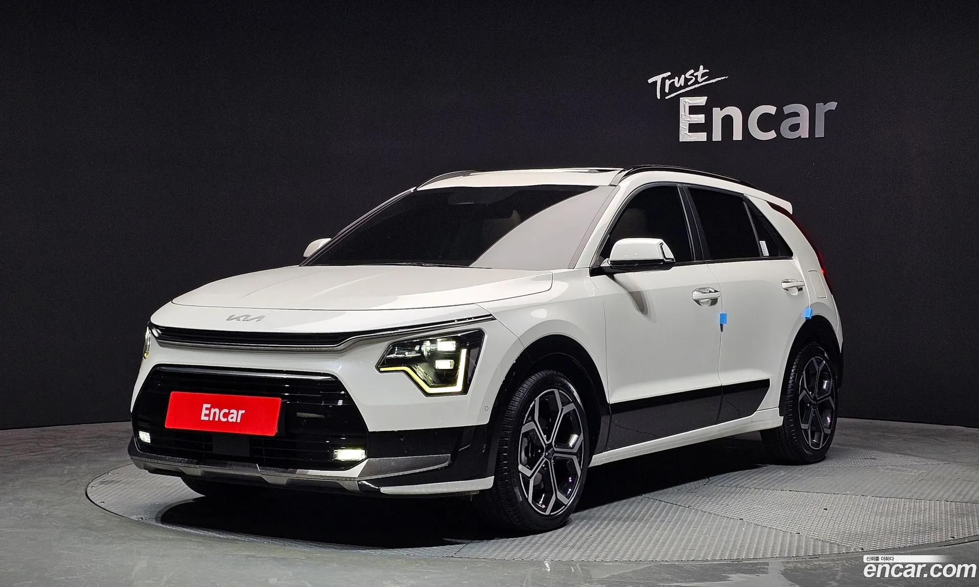 Dail New Niro Signature - фотография 11930741