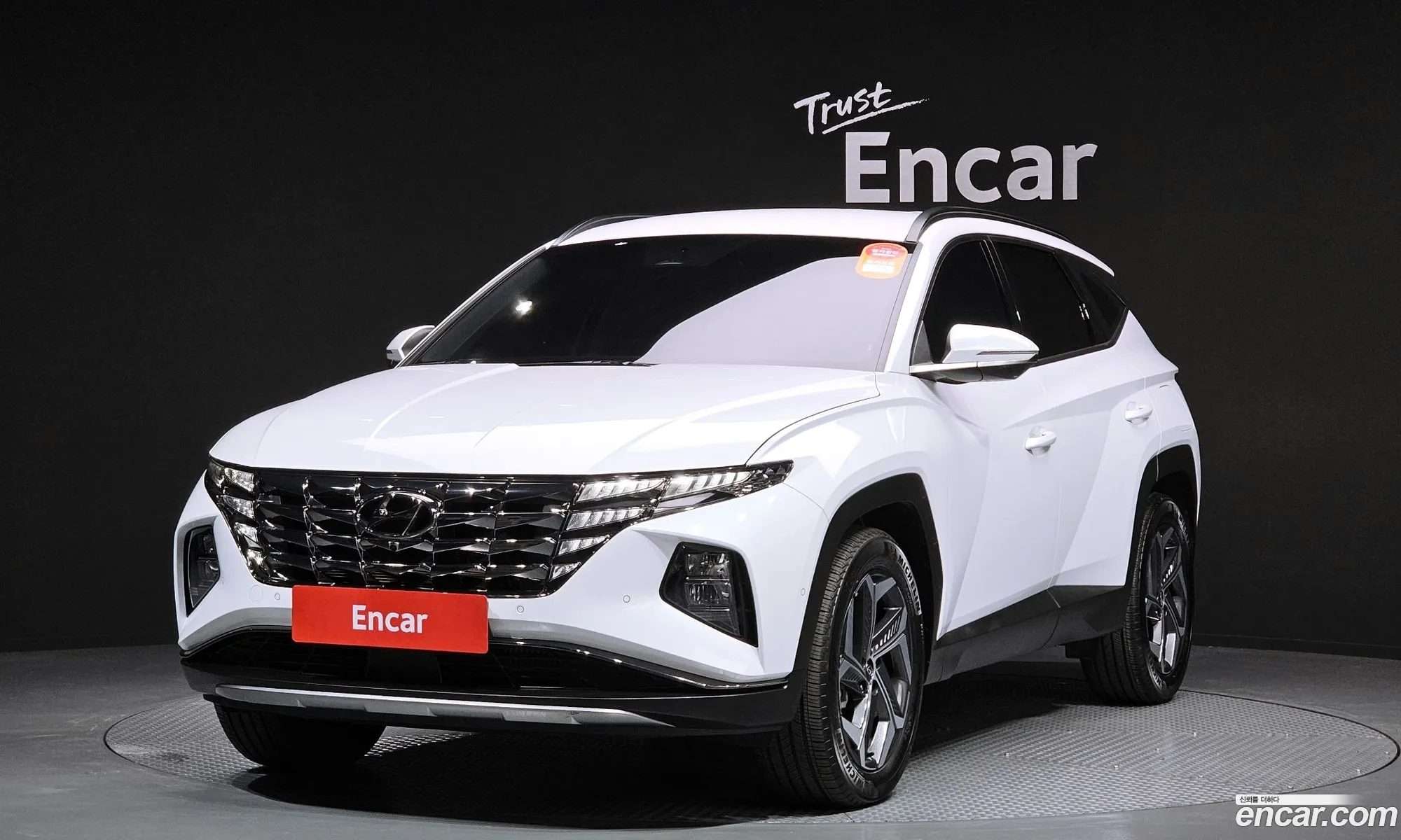 Korex Auto Trade - фотография 231445