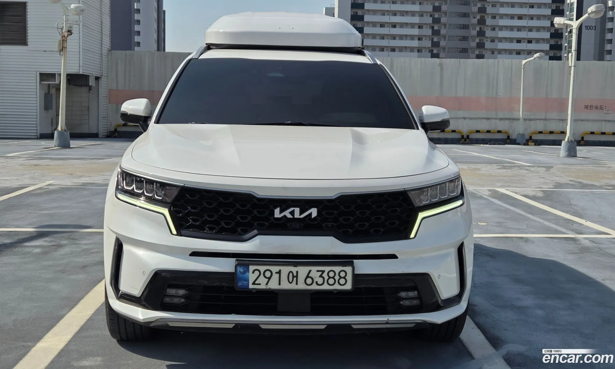 Korex Auto Trade - фотография 3514