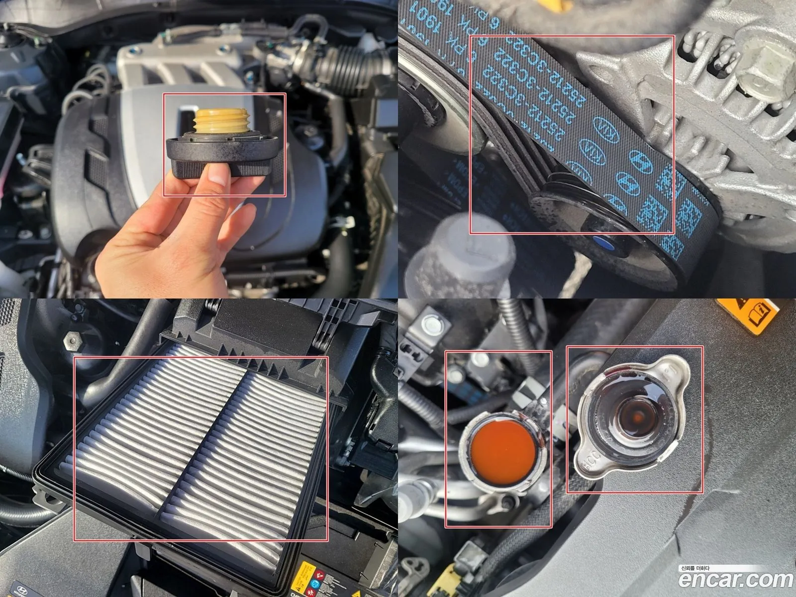 Korex Auto Trade - фотография 13176573