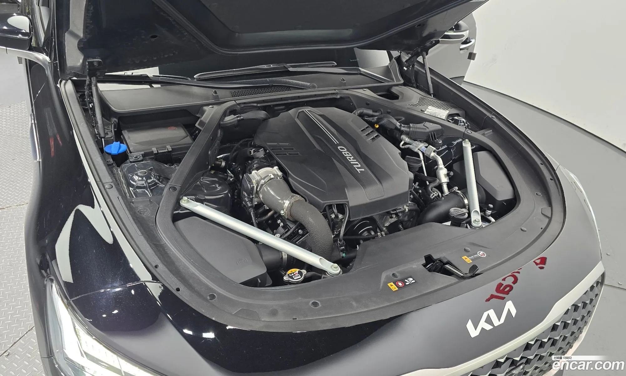 Korex Auto Trade - фотография 7592567