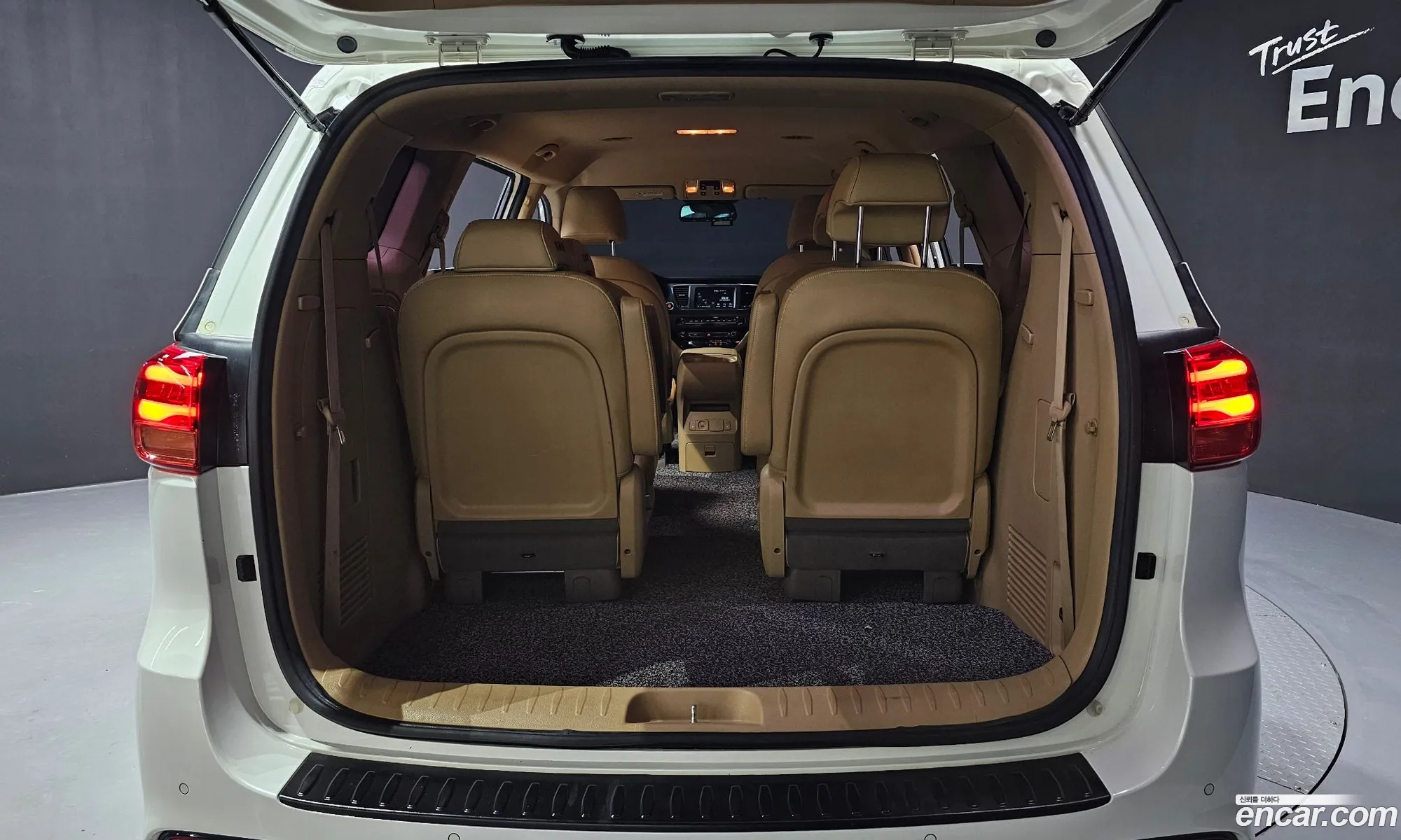 The New Carnival 9 -Seater Luxury - фотография 12453076