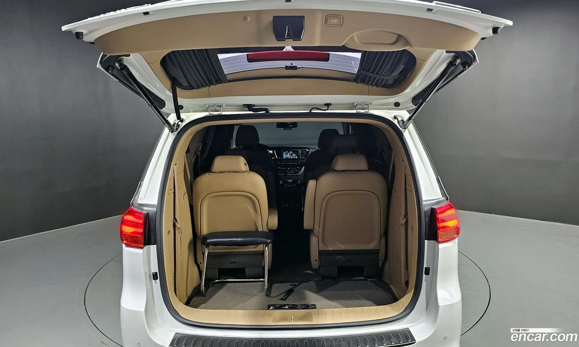 The New Carnival 9 -Seater High Rimmujin Noblesse Special - фотография 1046588
