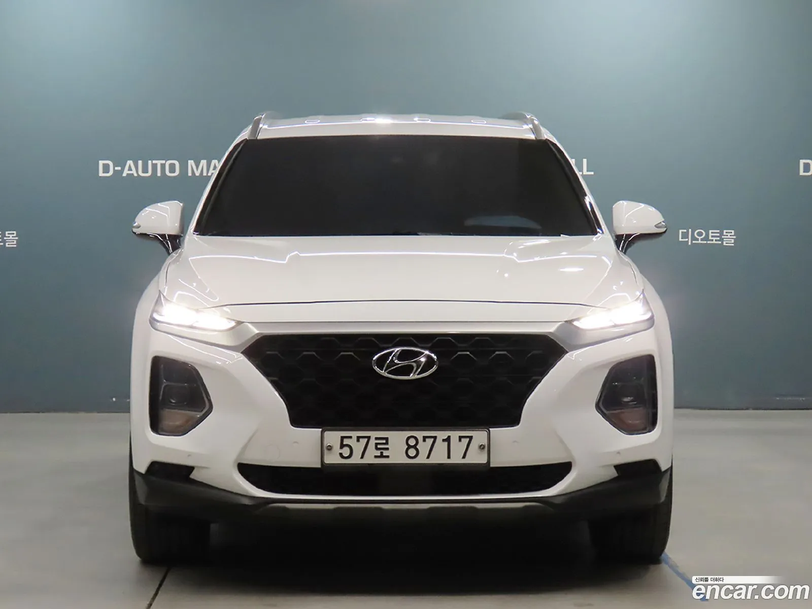 Santa Fe Tm Diesel 20 2Wd Exclusive - фотография 935578