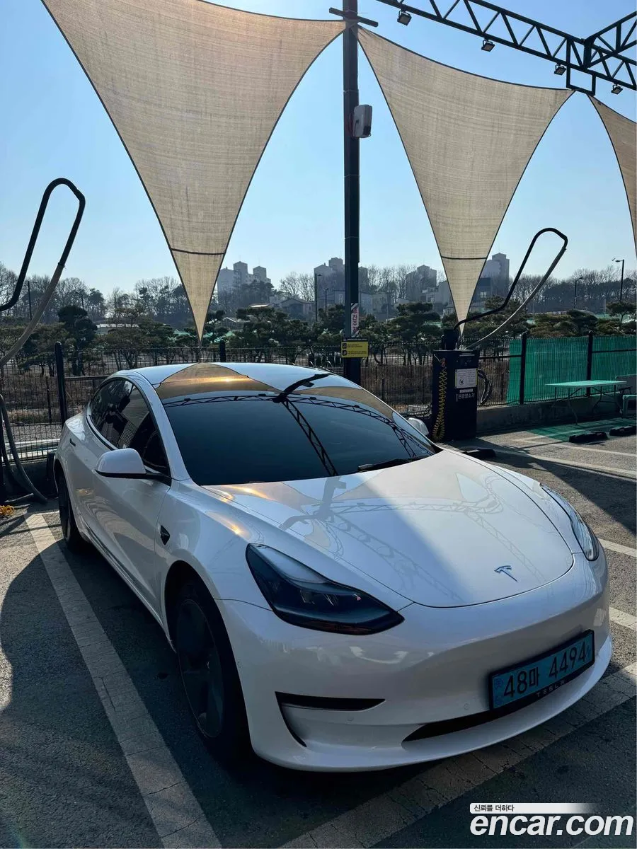 Model 3 Long Range - фотография 3509402