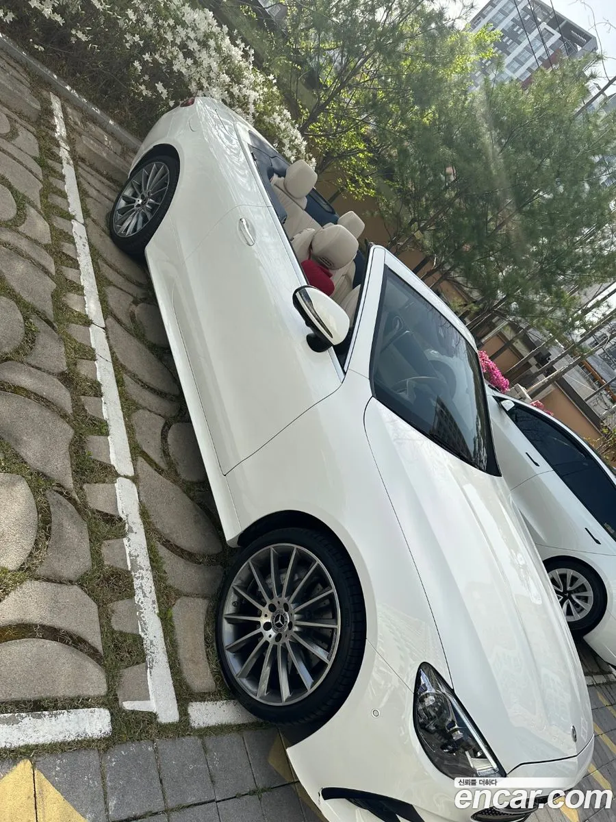 Korex Auto Trade - фотография 11299431