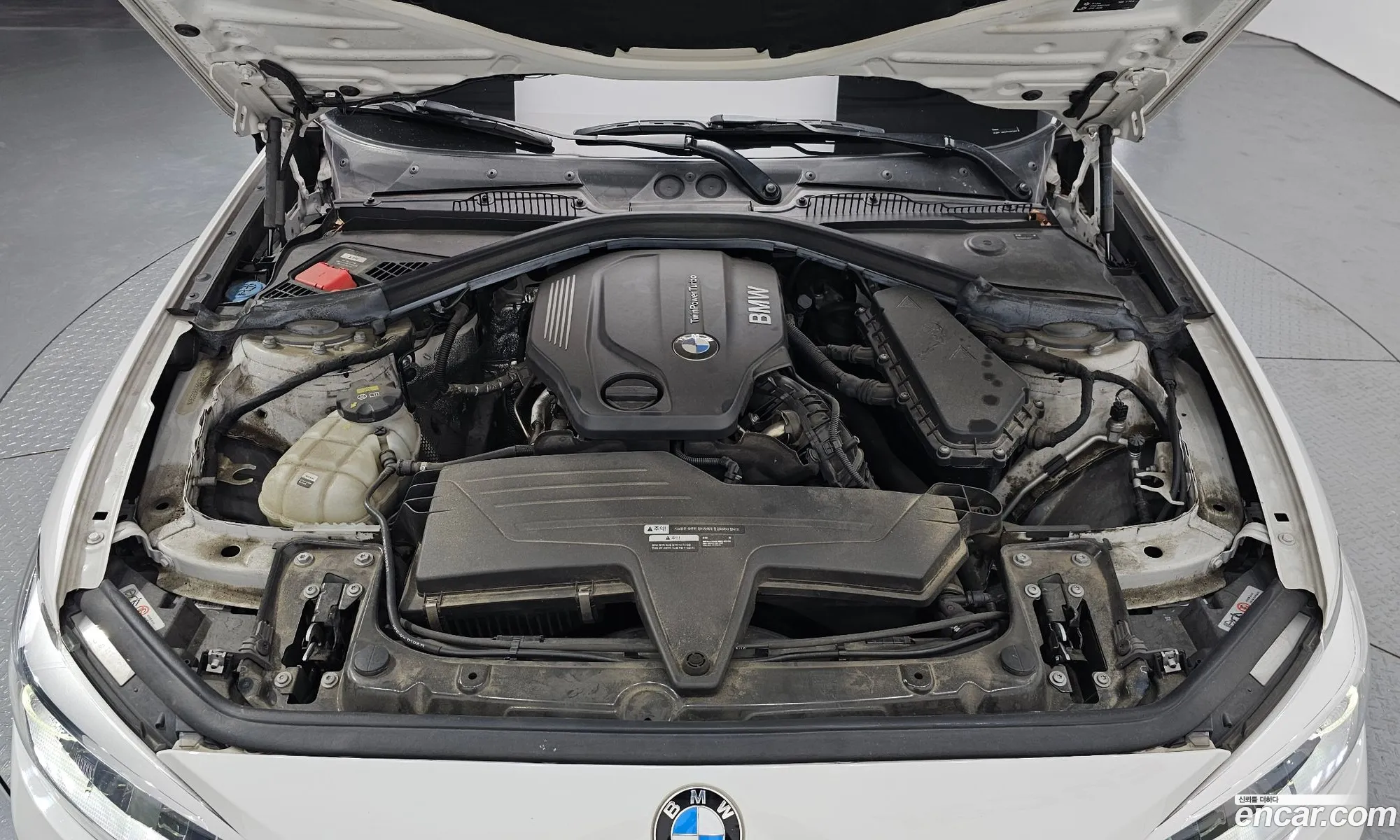 Korex Auto Trade - фотография 2644777