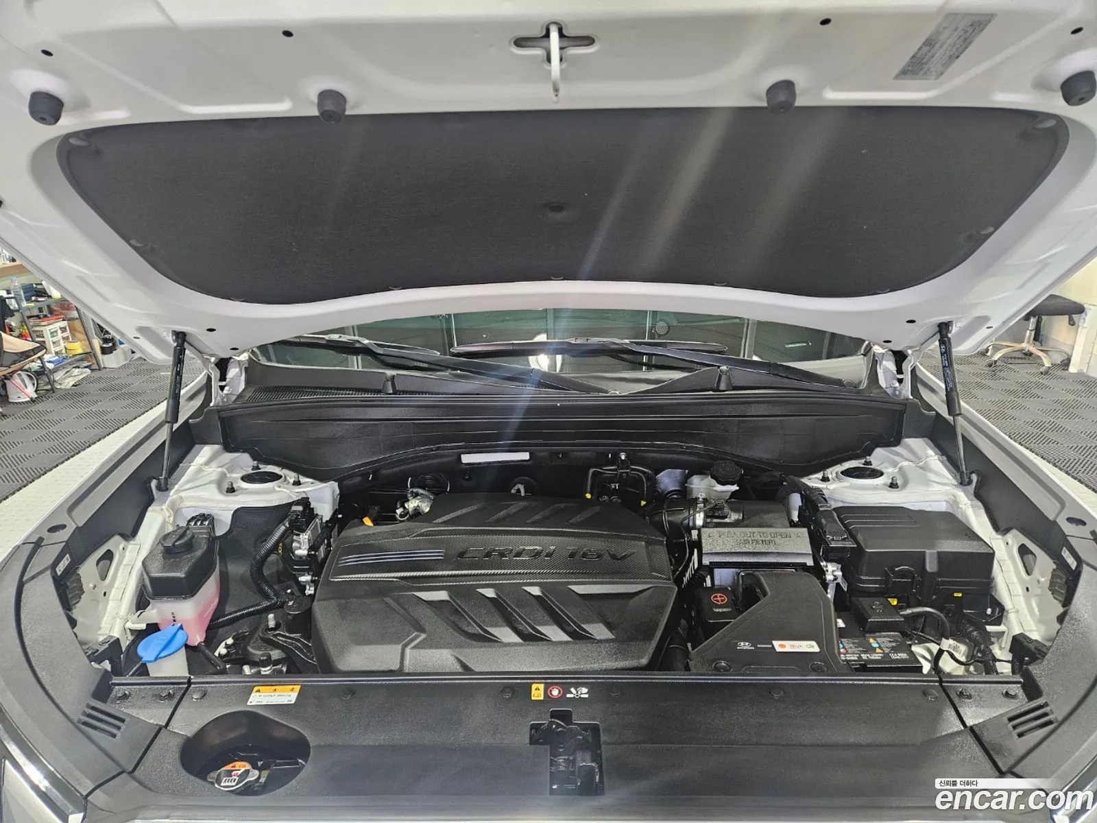 Korex Auto Trade - фотография 13489806