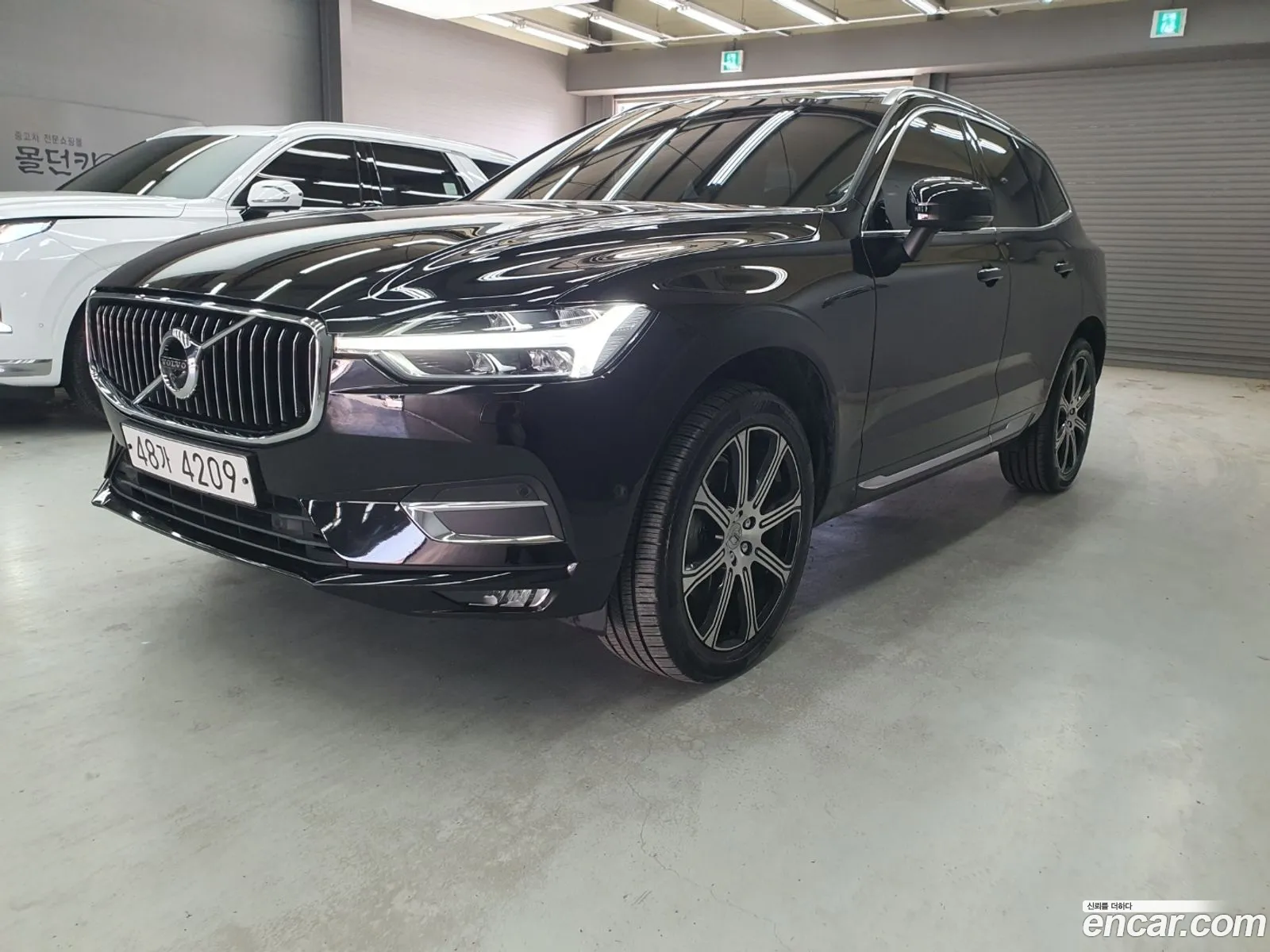 Korex Auto Trade - фотография 13650438