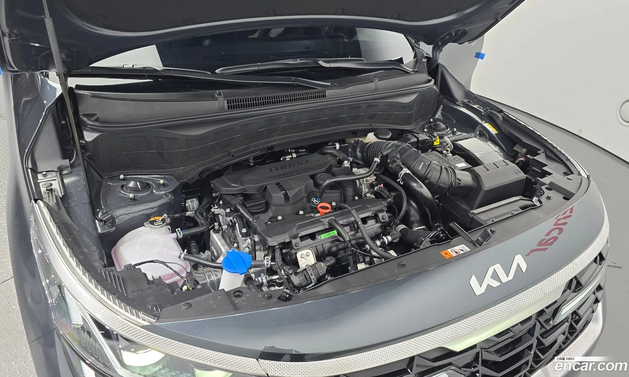 Korex Auto Trade - фотография 12683254
