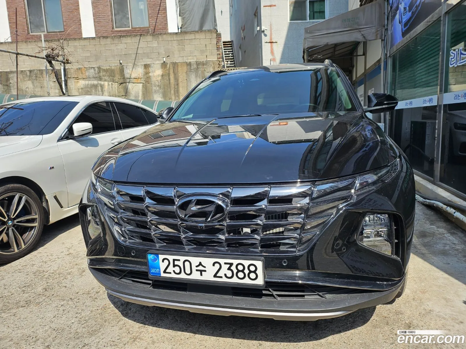 Korex Auto Trade - фотография 253365
