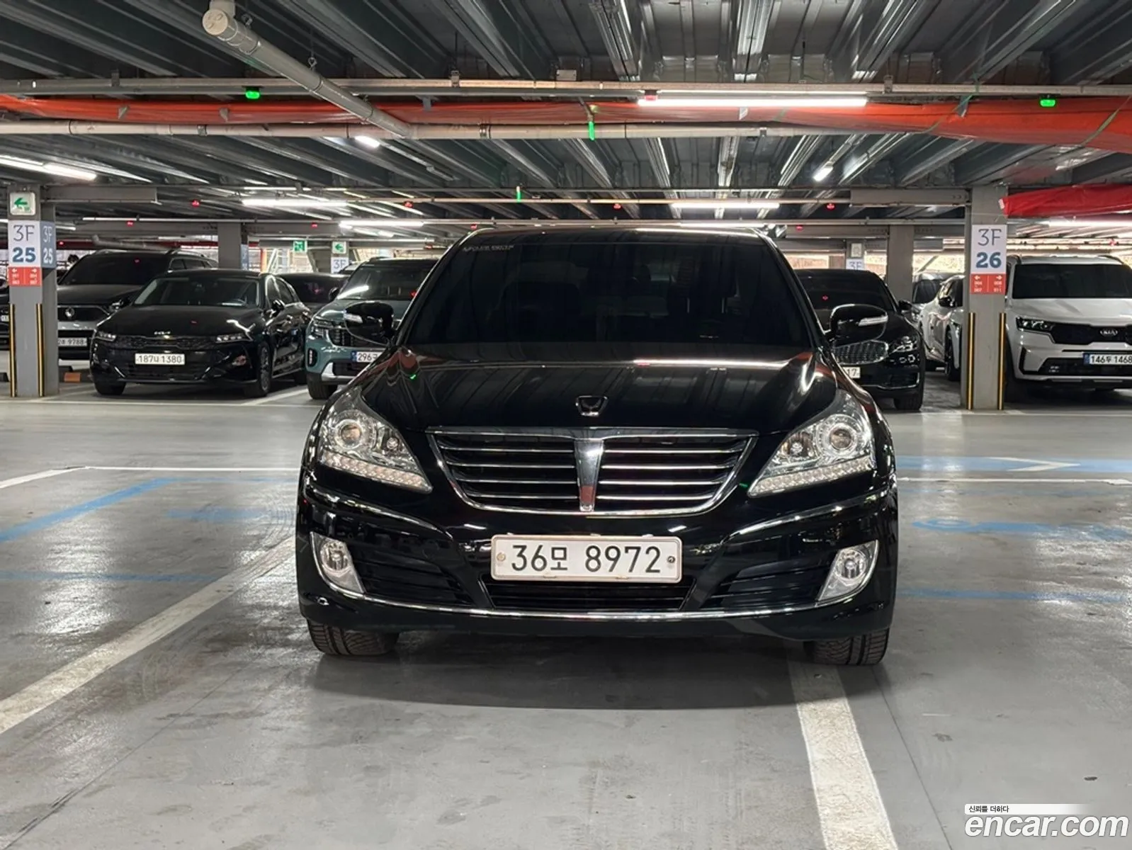 Equus New Vs380 Luxury - фотография 3767266