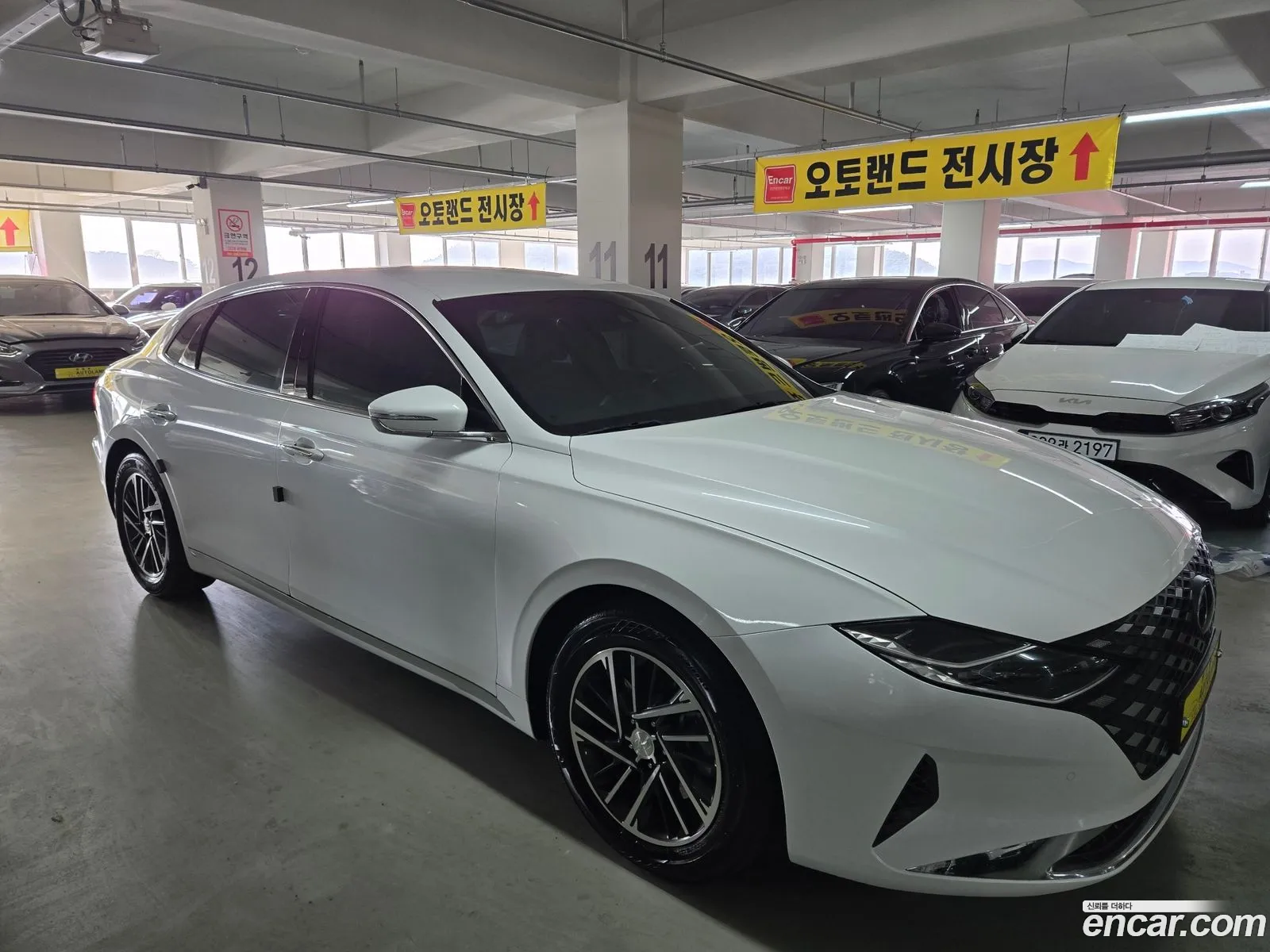 Korex Auto Trade - фотография 19270542