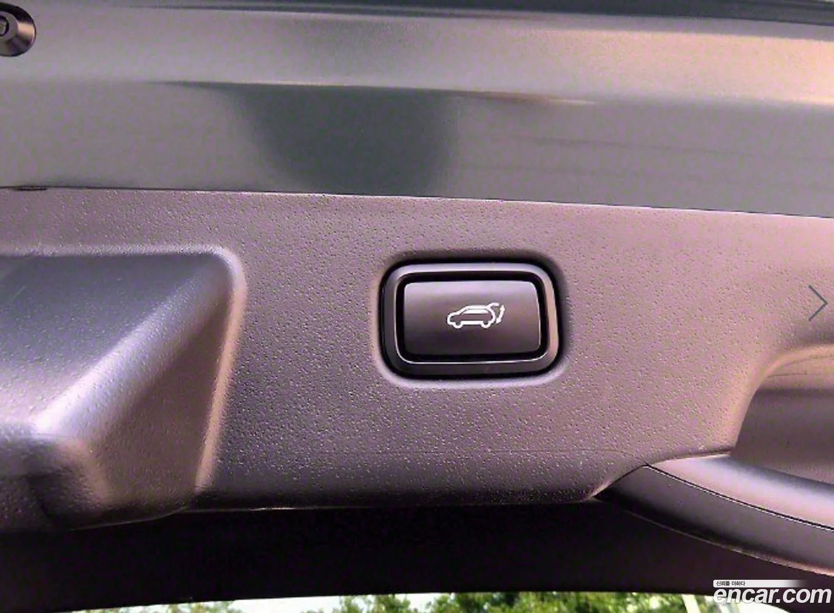 Dail New Niro Signature - фотография 12684092