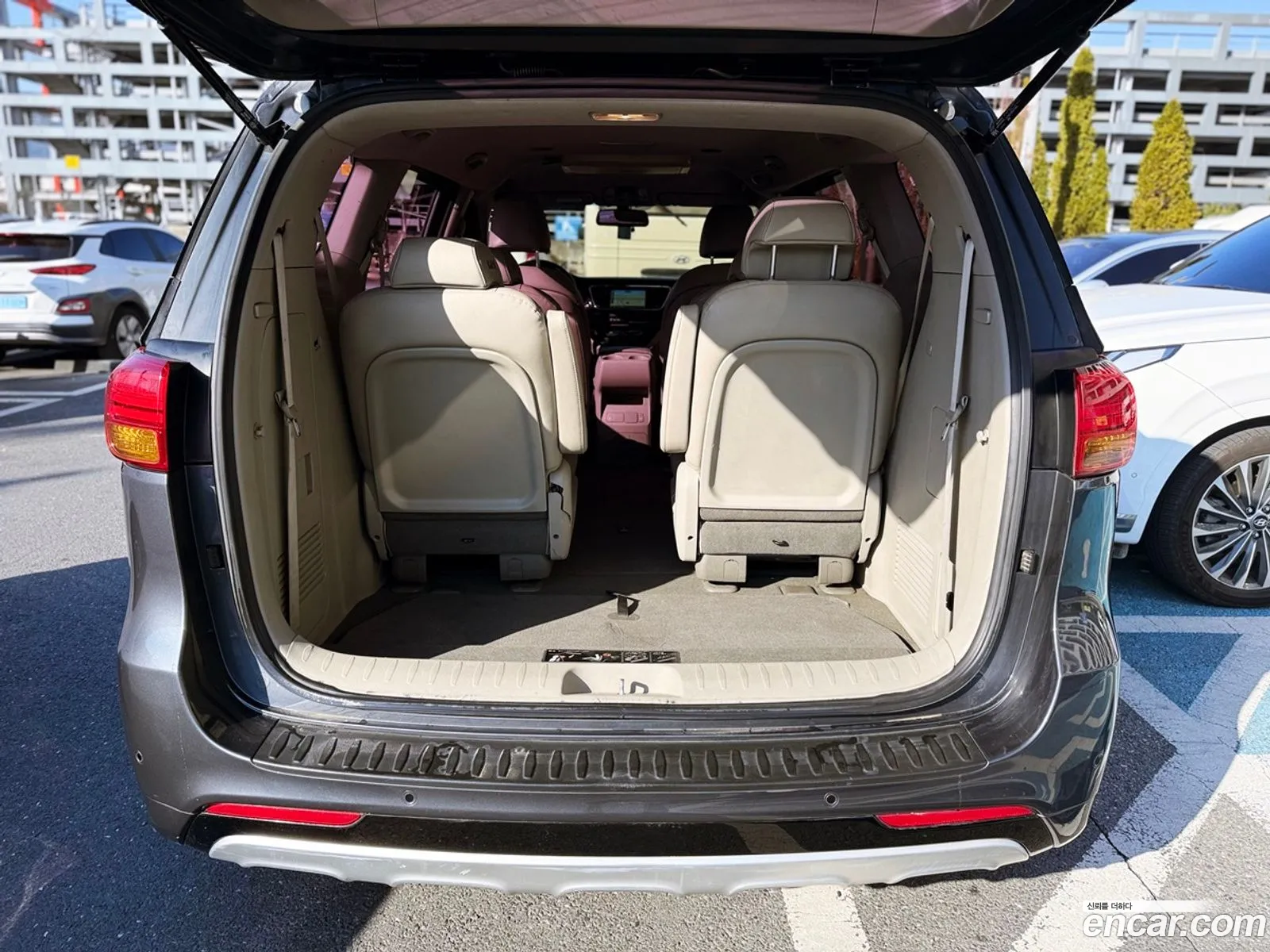 All New Carnival 9 -Seater Luxury - фотография 12668717