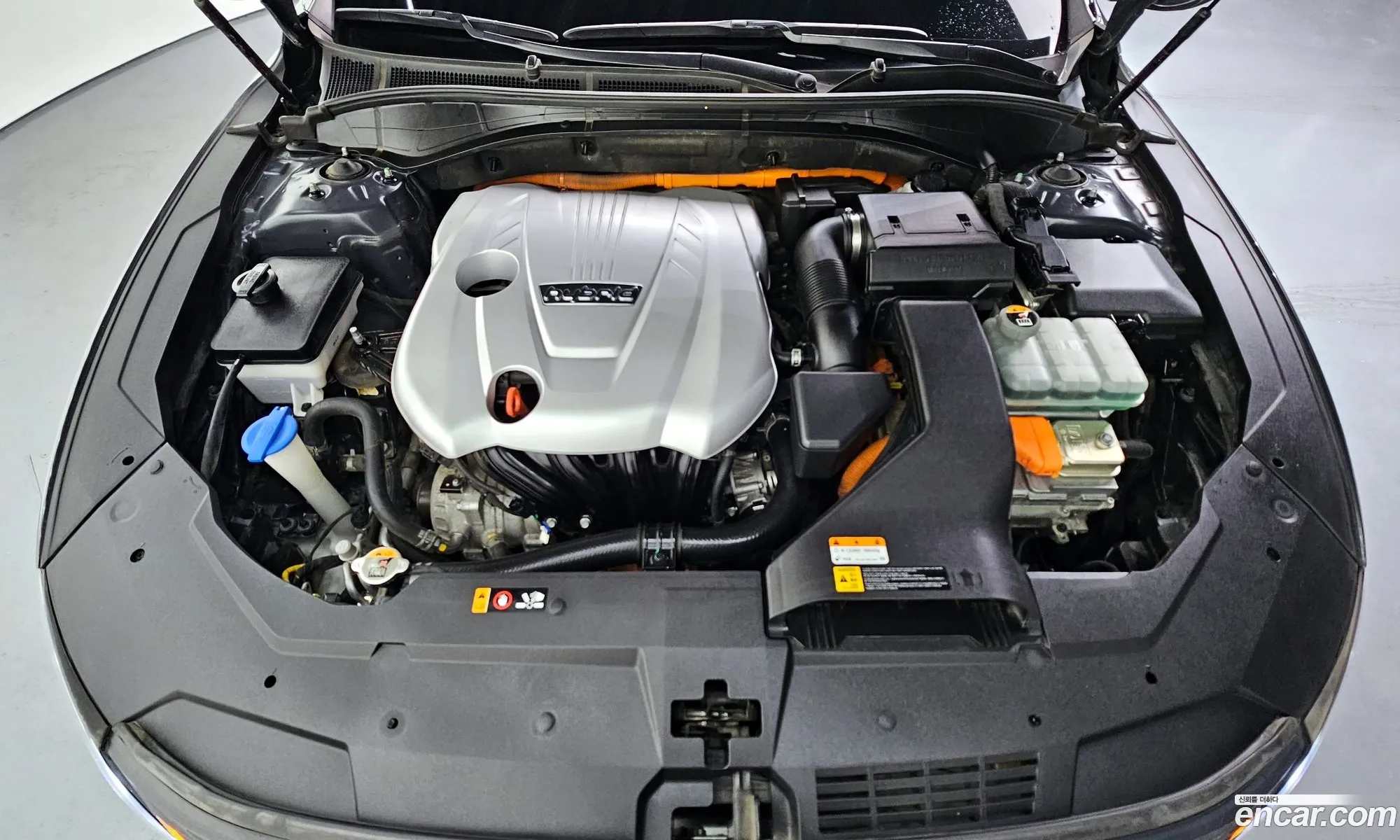 Korex Auto Trade - фотография 11956985