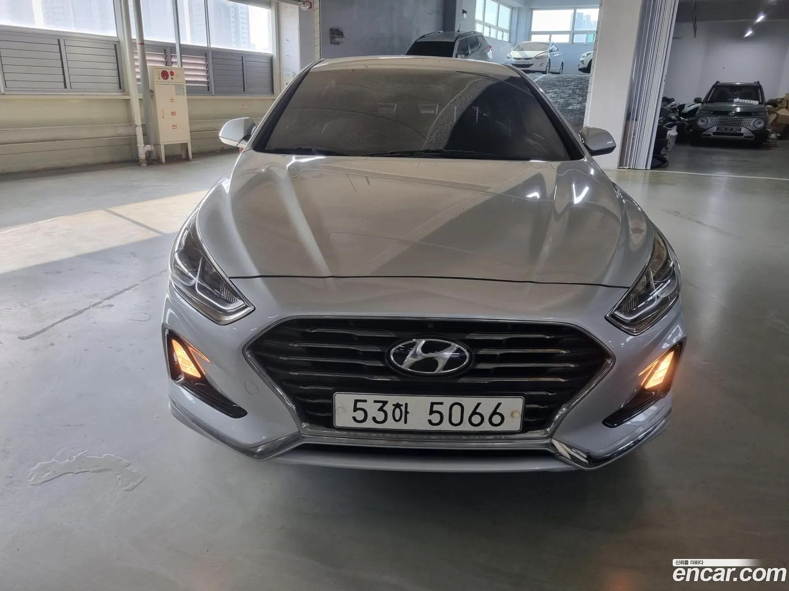 Sonata New Rise Lpi Style - фотография 19082327