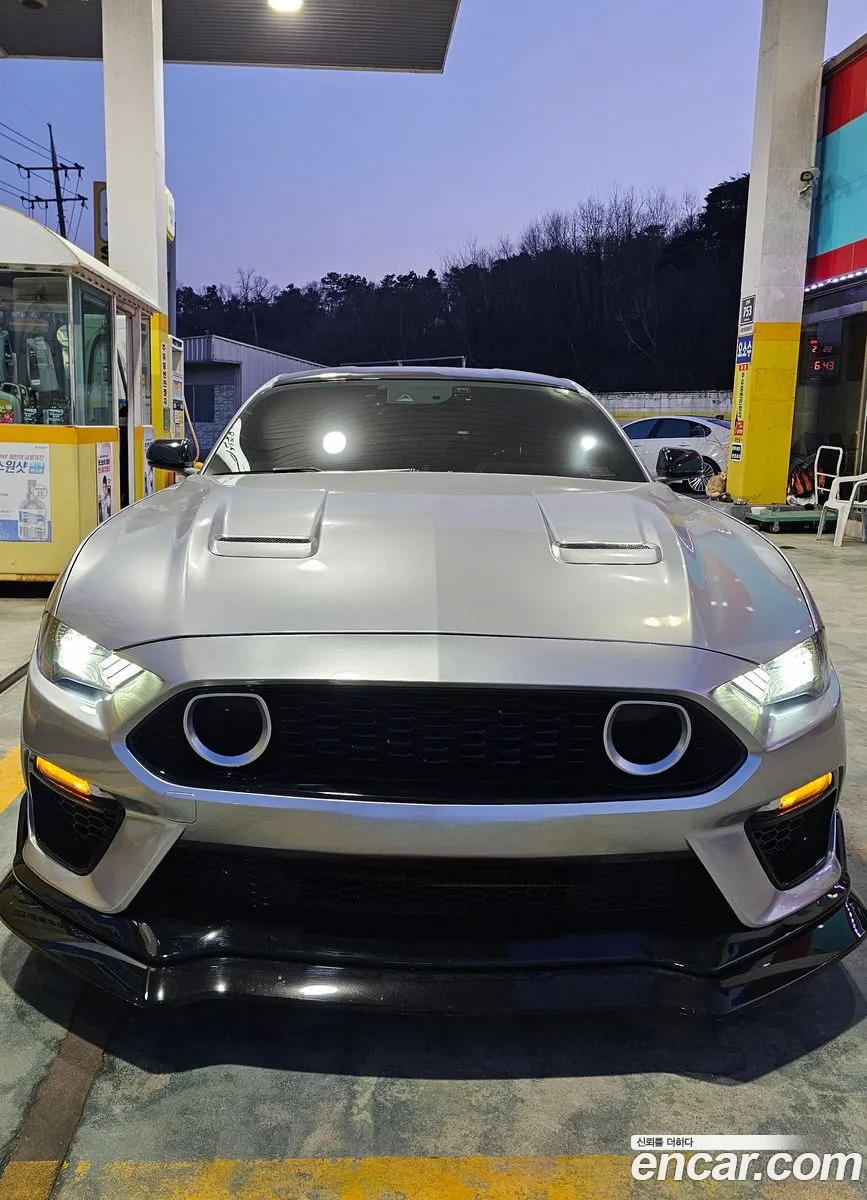 Mustang Gt Coupe - фотография 3510809