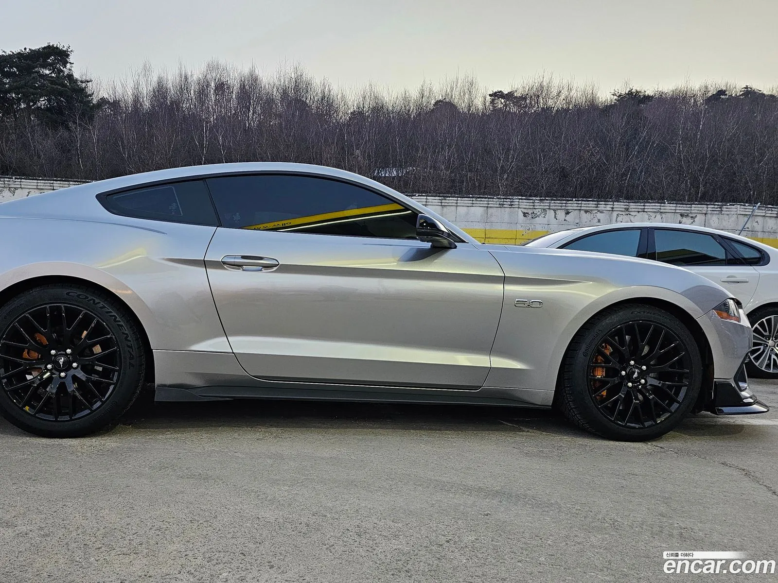 Mustang Gt Coupe - фотография 3510808