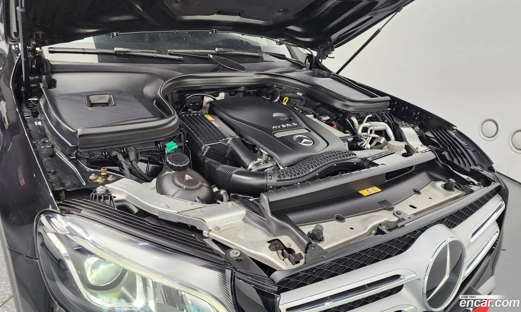 Korex Auto Trade - фотография 11256975