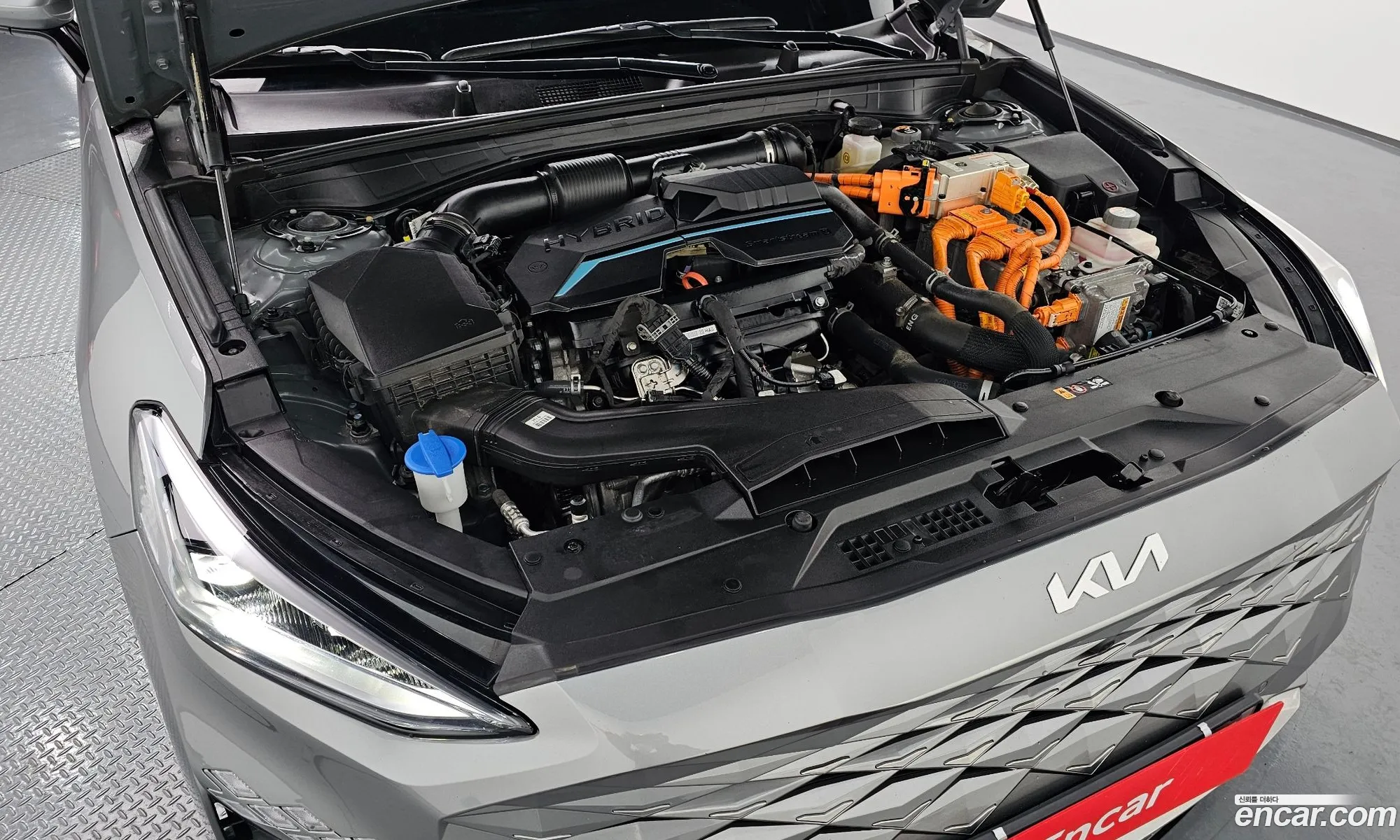 Korex Auto Trade - фотография 12258967