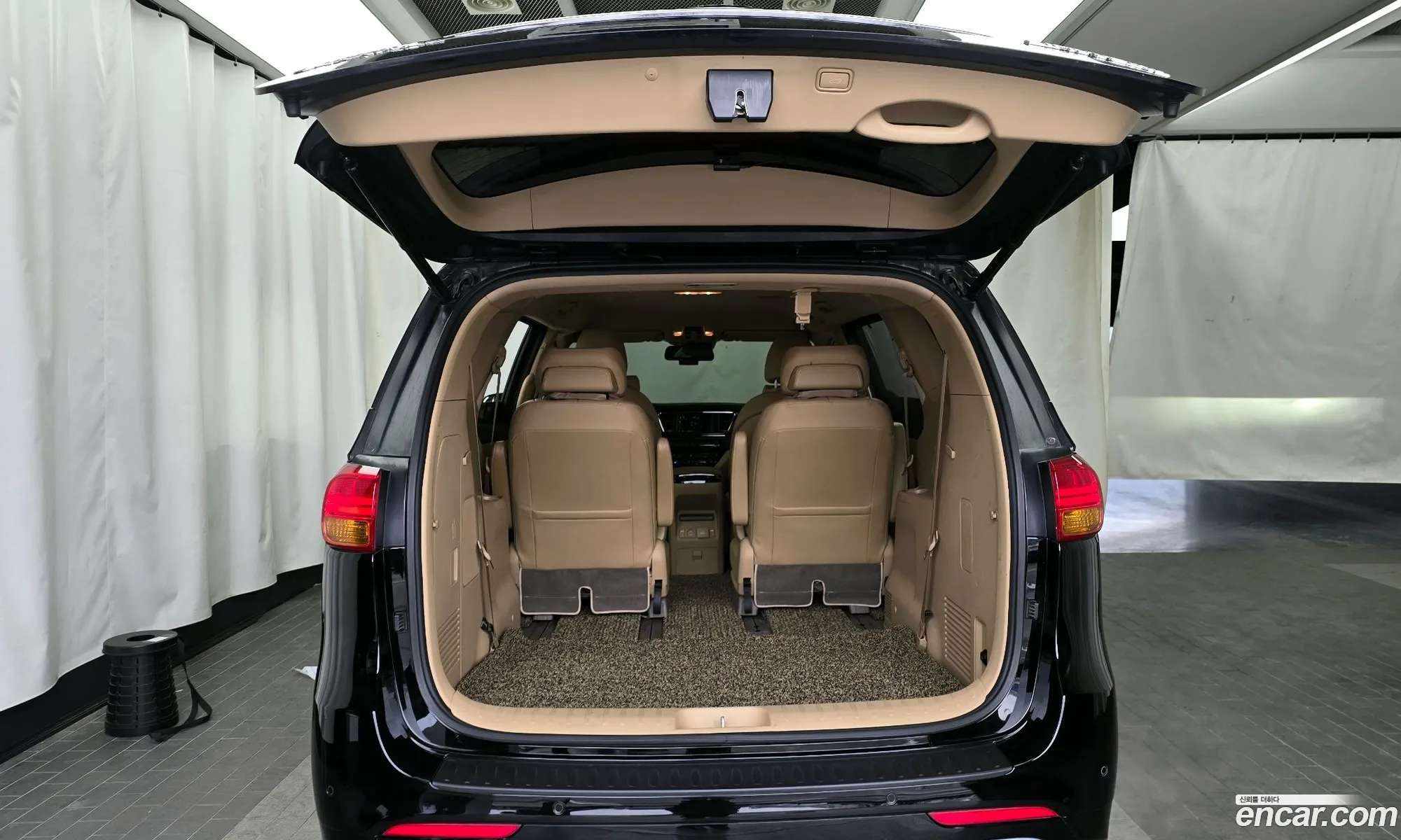 All -New Carnival Gasoline 7 -Seater Limousine President - фотография 11326387