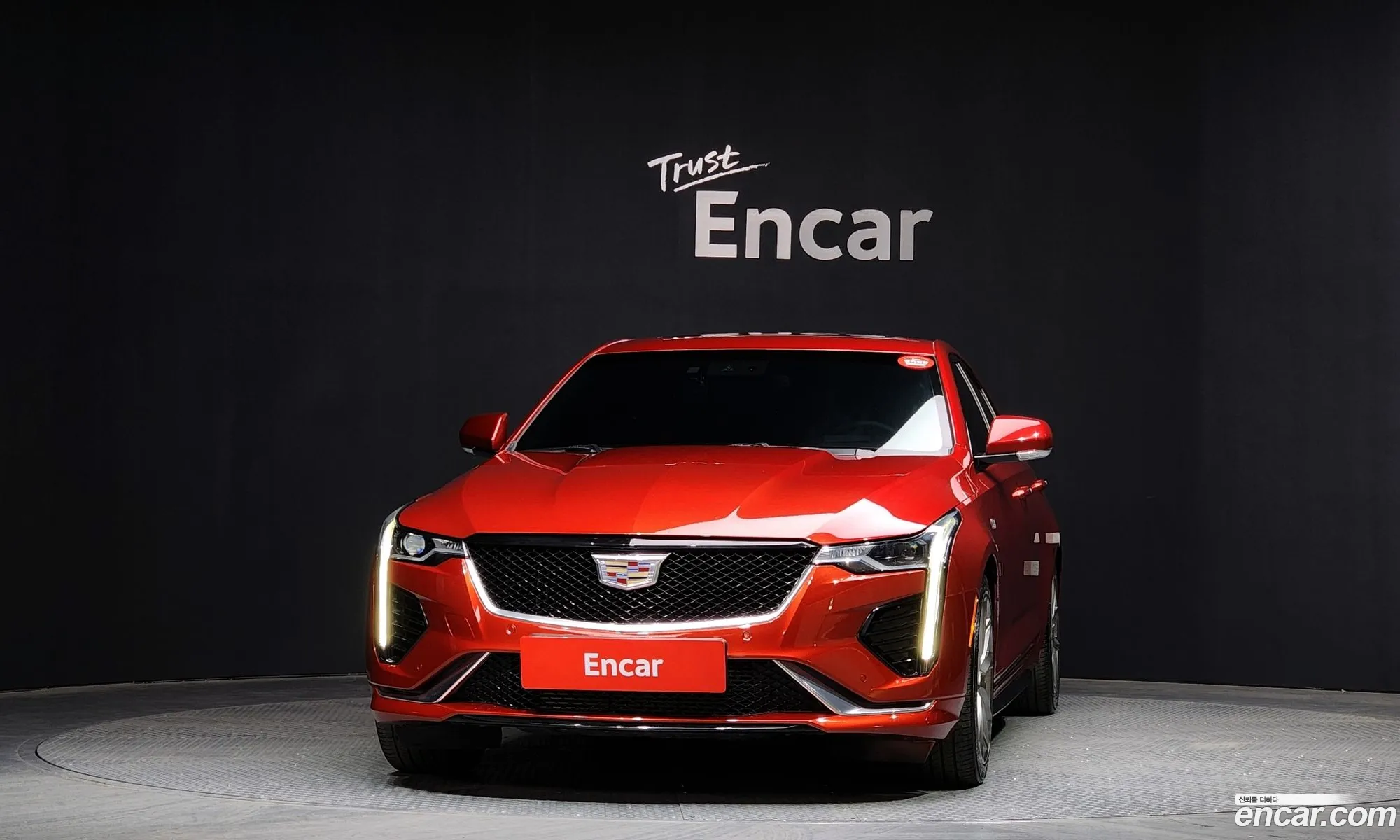 Korex Auto Trade - фотография 3504387