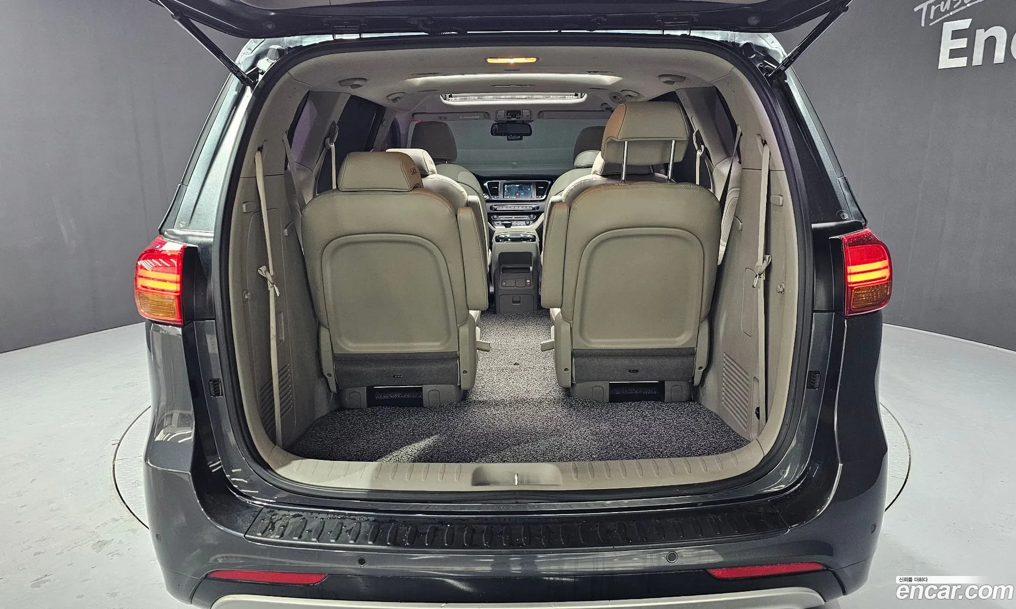 All New Carnival 9 -Seater Prestige - фотография 11931749