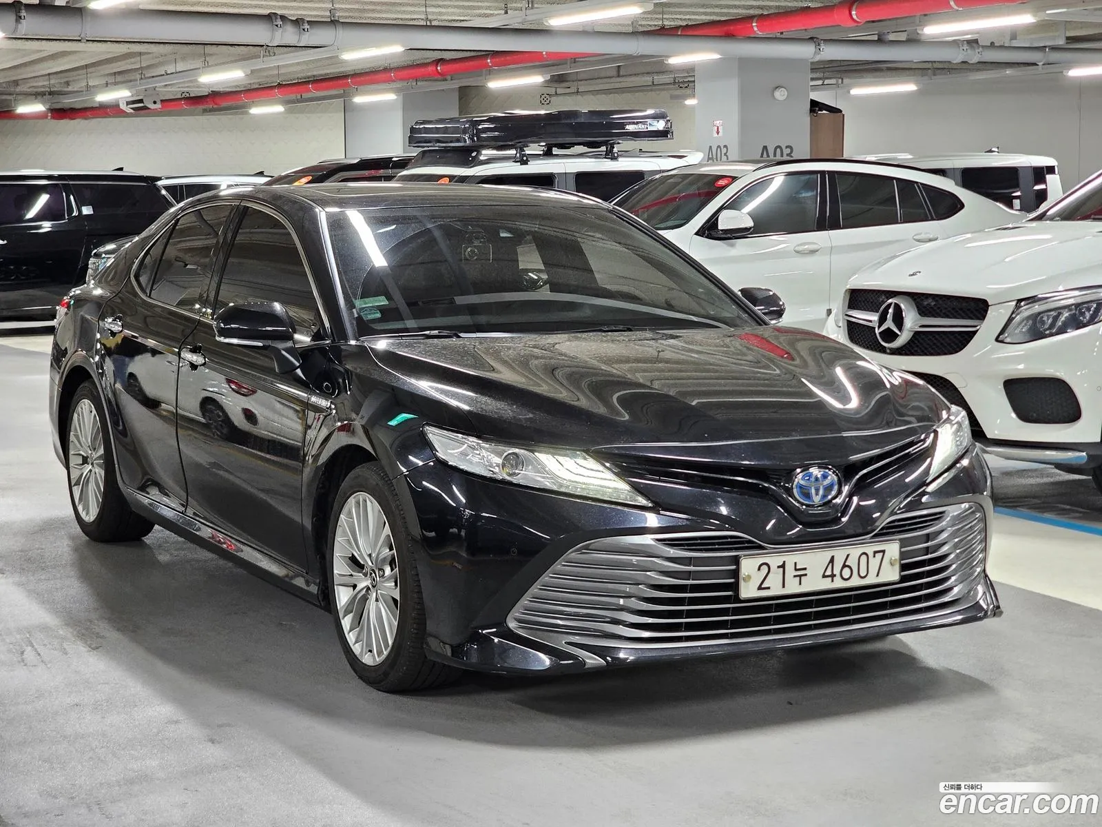 Korex Auto Trade - фотография 14353356